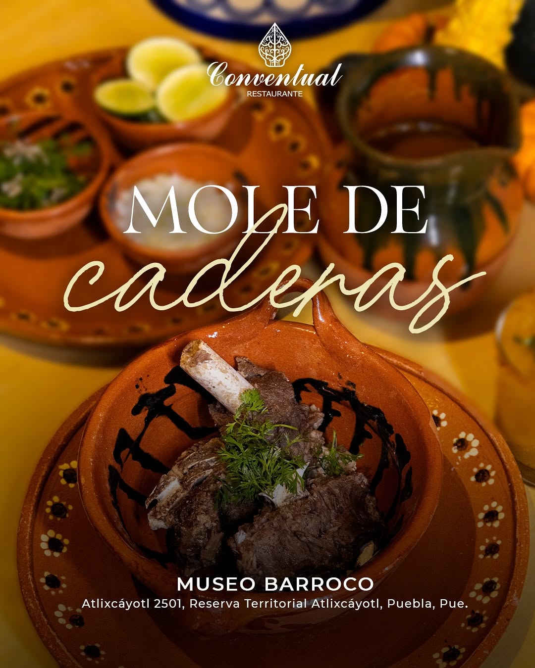 Comida Tradicional Gourmet