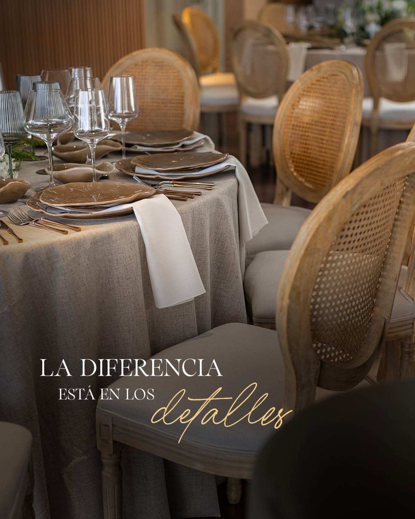 Cava de Vinos y Cocteleria